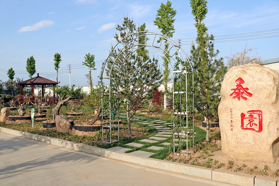 Environment of the headquarters (10)