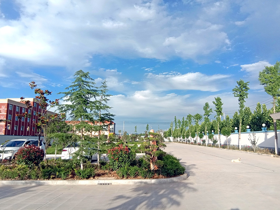 Environment of the headquarters (6)