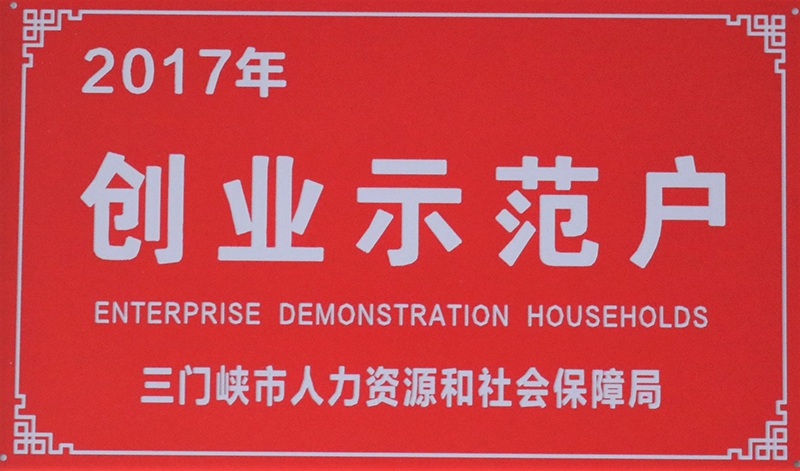 2017 Entrepreneurship Model