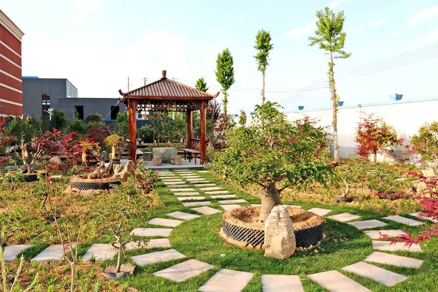 Environment of the headquarters (11)